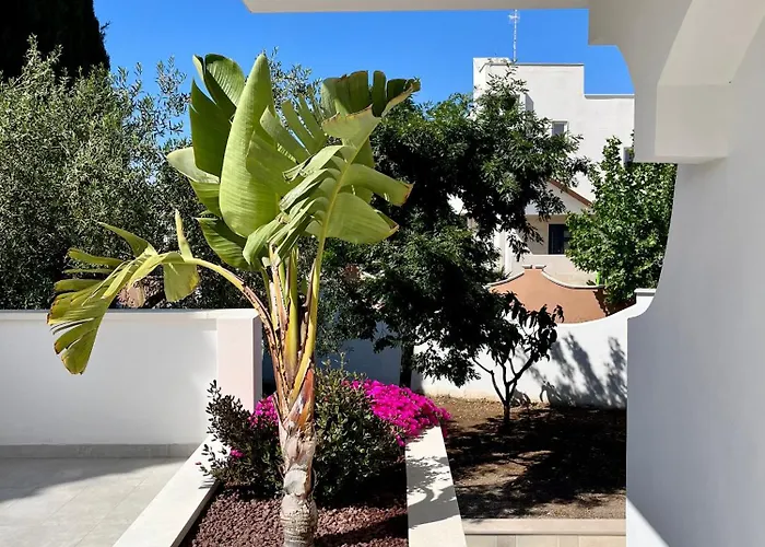 Casita بيت ضيافة